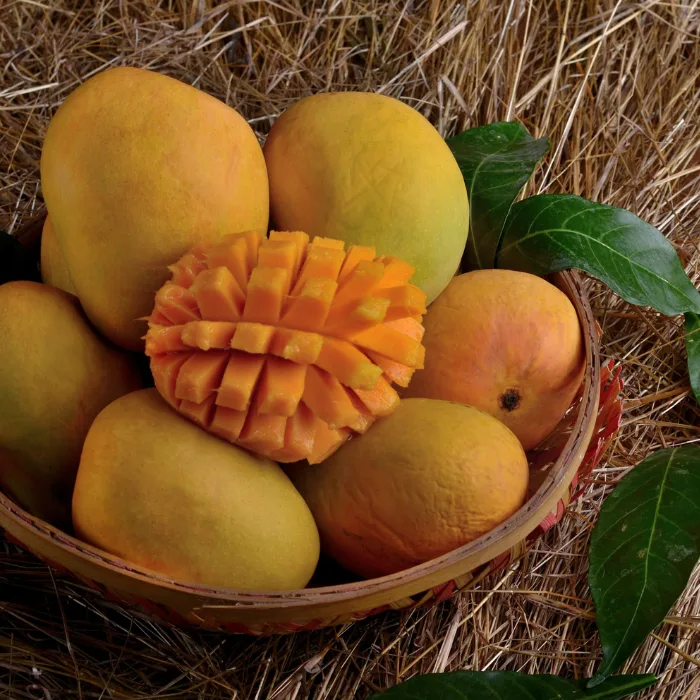 Kesar Mango